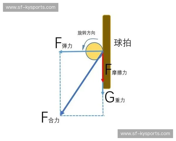 乒乓球积分榜：一张看懂实力、热度与成长的万能地图